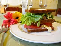 Hotel Eurotel El Bosque - breakfast