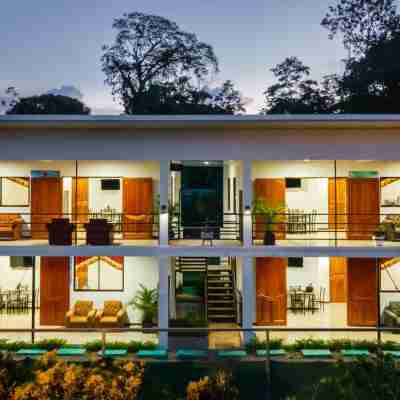 Villas Mapache del Caribe Hotel Exterior