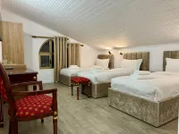 Vila Alizee Hotel Hotels in Tirana
