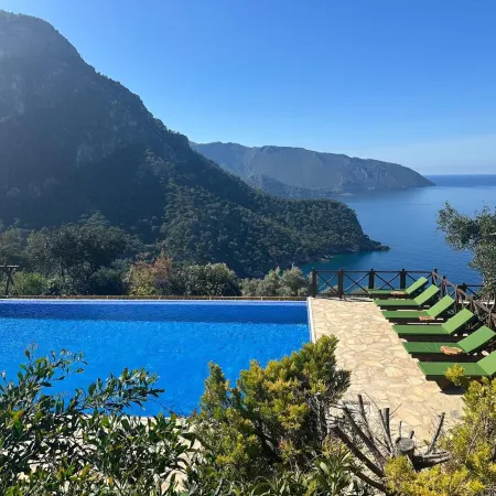 Olive Garden Kabak