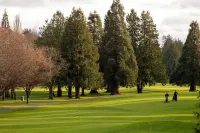 Tranquil Garden Level Retreat near UBC & Airport - Pensions