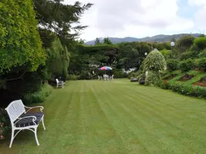 Royal Cocoon - Nuwara Eliya