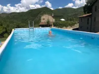 Le Chianine dei Tognoli