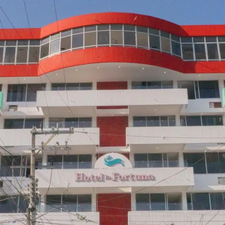 Hotel la fortuna