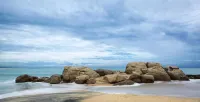 페이퍼 문 쿠딜스 - 비치