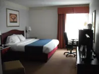 Mountain Inn & Suites