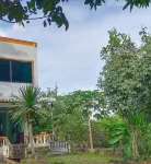 Mountain View Hostel - Krabi Airport Near Wat ThamSuea 끄라비 스태디움 주변 호텔
