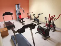Hostalia Hotel Expo & Business Class - Gym