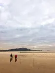 Albert Number 6 - Bãi biển