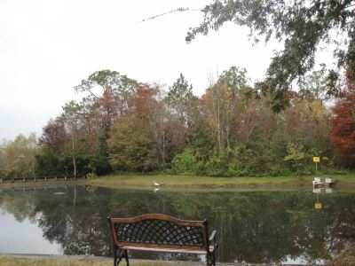 ホテル周辺 ジャクソンビレ プラザ ホテル & スイーツの写真