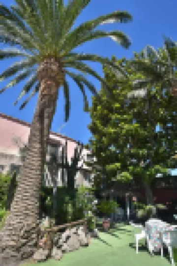 Hotel Villa Franca Hotels in 