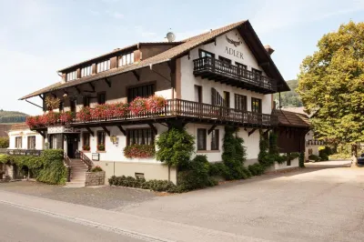 Hotel Gasthaus Adler Hotels in Waldkirch