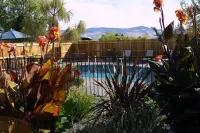Arden Forest Inn - Rooftop Pools