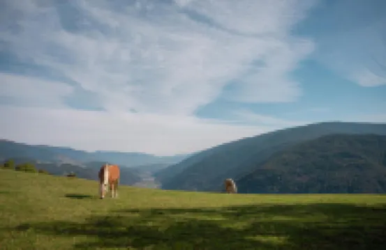 Panoramahotel Huberhof