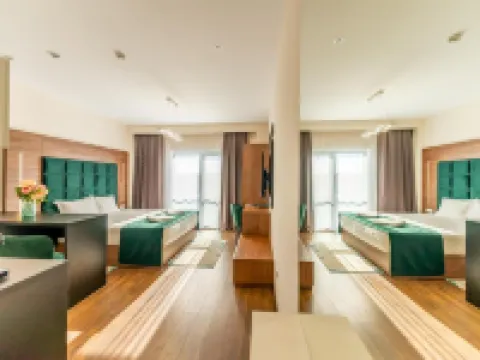 MCity Hotel アラドのホテル