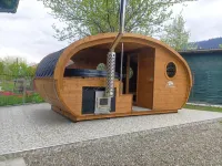 Casa Câmpulungeană Hotel a Stulpicani
