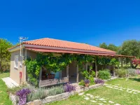 Aggelina's Apartments - bar