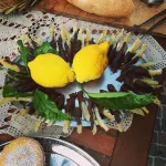 Nido Verde - Pet friendly