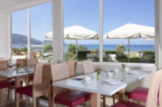 阿迪娜飯店 住宿飯店