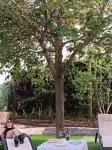 露西亞之家