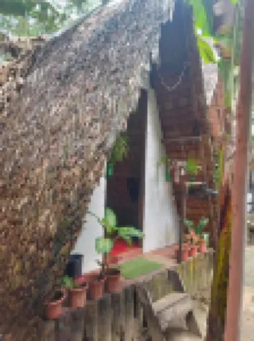 MyLove Siargao Village Hotels in 