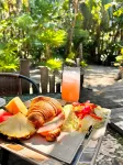 Jungle Cocoon - Homestays