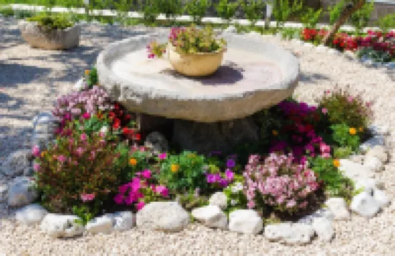 Apartment & Rooms Savonari