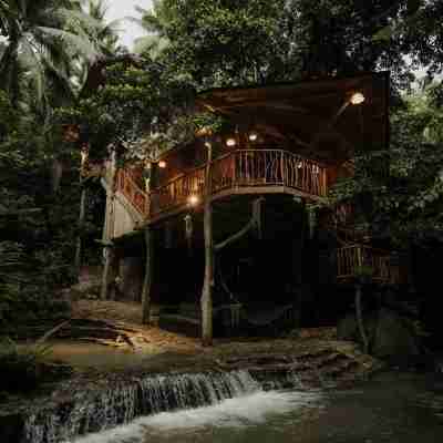Treehouse de Valentine Hotel Exterior