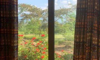 Homestay Nha cua Mi - Mi's House