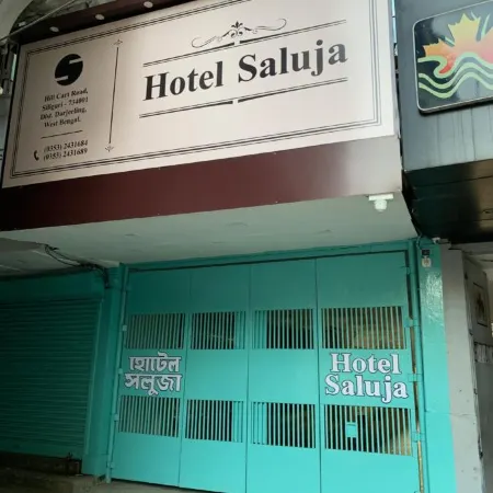 Hotel Saluja