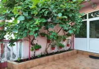Rooms Kuljic - Pensions