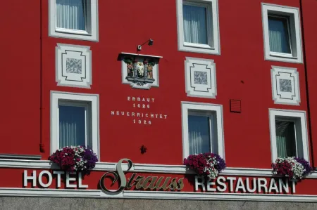 Hotel Strauss Отели в г. Бланкенштайн