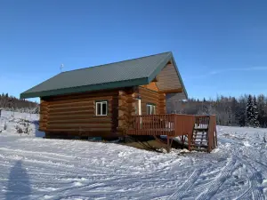 Secluded Log Cabin, 30 Min from Chena Hot Springs
