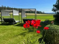 Landhotel Lindenhof Hotels in VohenstrauB