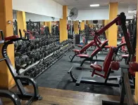 Hotel Neu 354