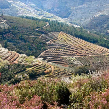 La Posada del Casar