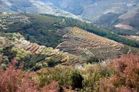 La Posada del Casar