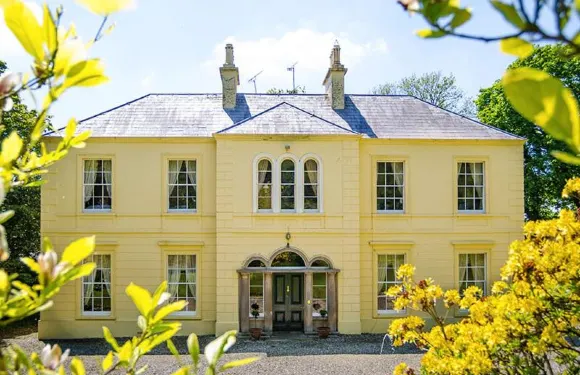 努特戈羅夫豪華住宿加早餐旅館