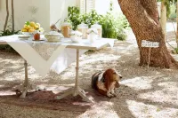 Prince Albert Country Stay Hotels in Prince Albert