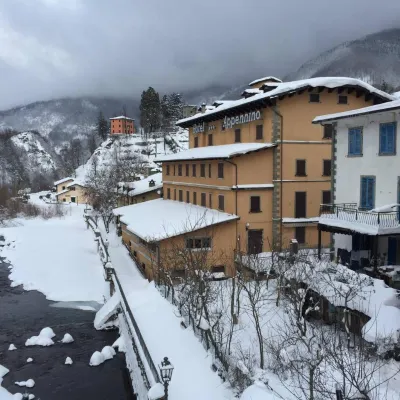 Hotel Appennino Hotels near Abetina