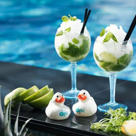 V Spa & Conference Hotel