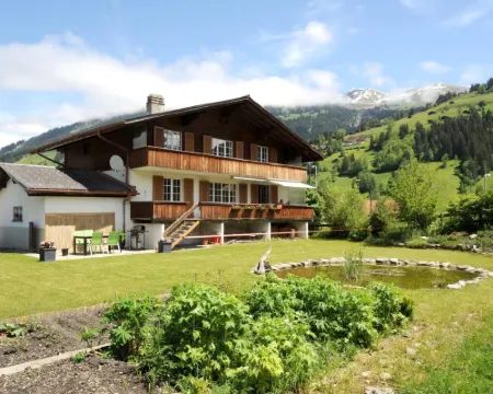 Ferienlenk Mountain Village Hotels in Lenk