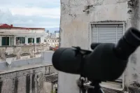 Mira Maradona