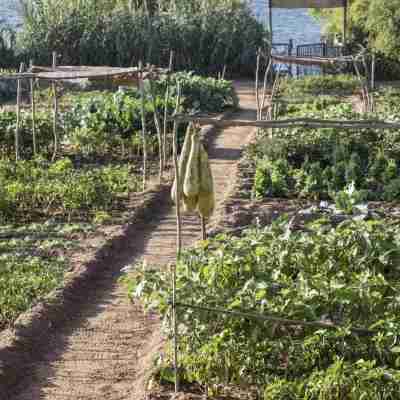 La Sultana Oualidia Hotel Exterior