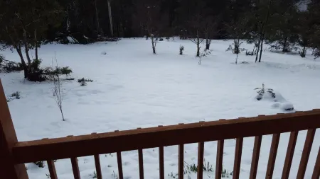 Cradle Alpine Retreat Отели рядом с достопримечательностью «Тасмазия & Виллидж Оф Лоуэр Крекпот»