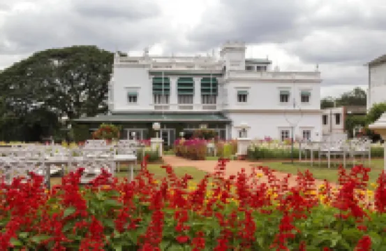 The Green Hotel