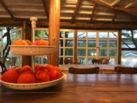 プレイズ スイート