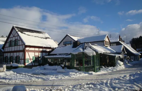 巴赫雷因沃德酒店