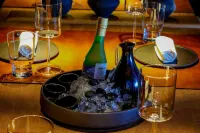 리퍼블리카 파가나 - 어덜츠 온리