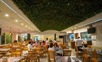 Hotel Los Cocos Chetumal